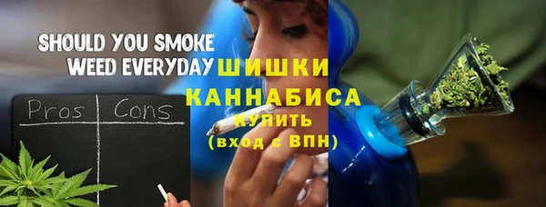 шишки Беломорск