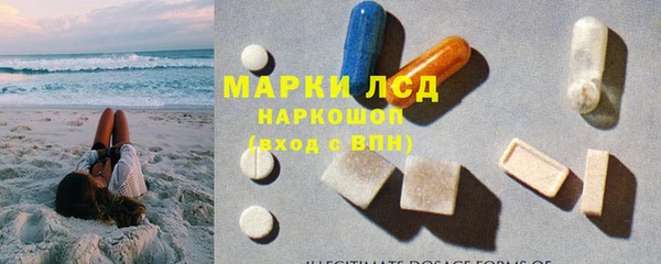 гашик Балахна