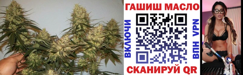 МЕГА ONION  продажа наркотиков  Зеленогорск  ТГК жижа 