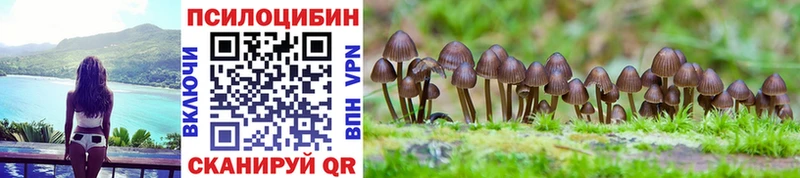 Псилоцибиновые грибы мицелий  Зеленогорск 